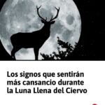 coloo