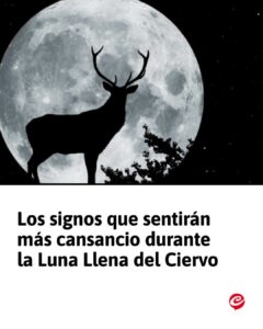 coloo